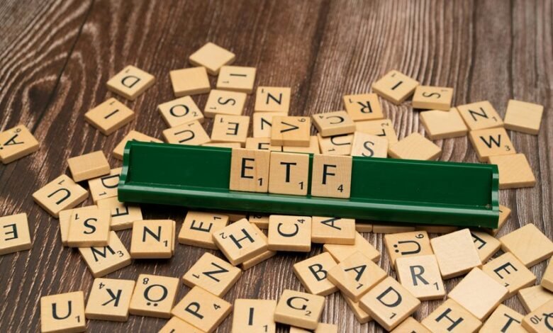 equity fund investment strategy