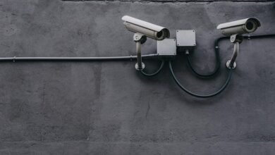 remote security camera access