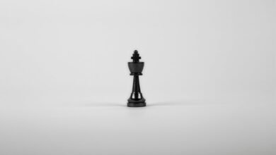 corporate decision intelligence register