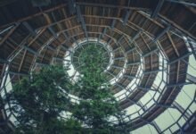 corporate growth strategy analysis