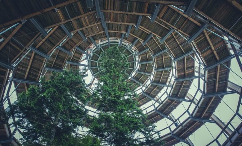 corporate growth strategy analysis