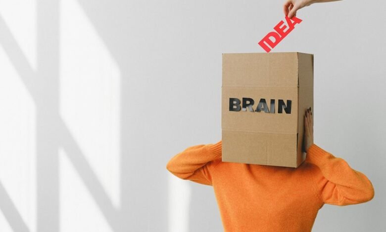 corporate insight report summary