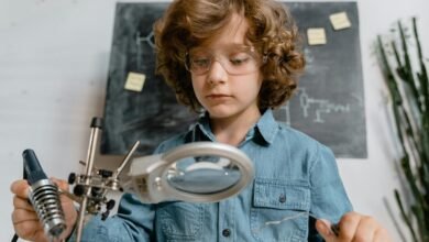 enterprise insight development summary