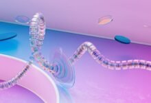 intelligence control summary overview