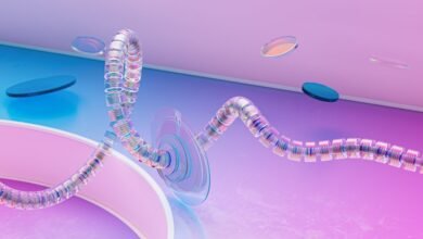 intelligence control summary overview