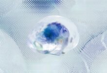 organisational data intelligence brief