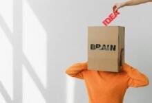 organisational strategy insight capsule